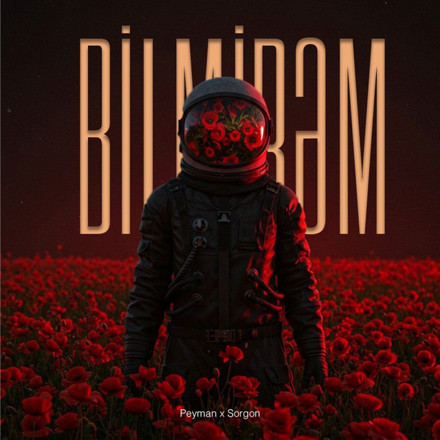 Bilmirəm — üz qabığı
